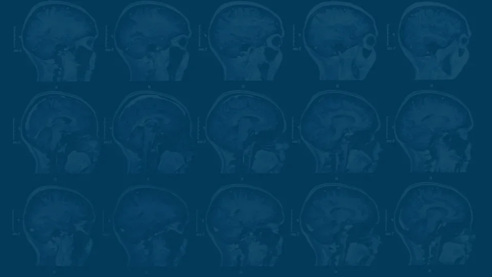 Biodesign Process