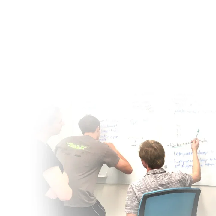 Fellowship background