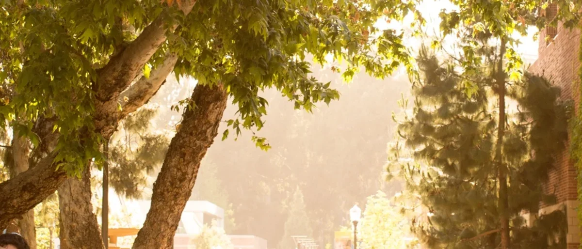 Leadership background