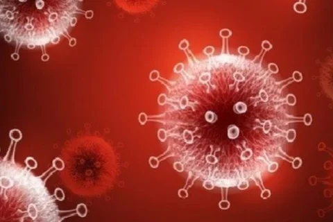 National Registry Quickly Set Up to Help Doctors Understand Risks COVID-19 Poses to Pregnant Women and Newborns