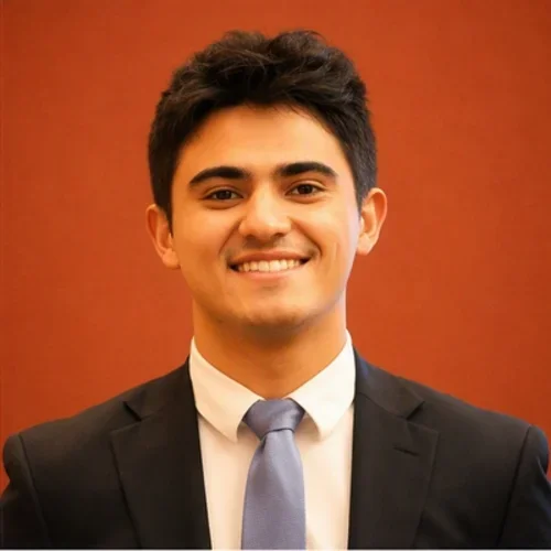 2024-2025 AI Fellow