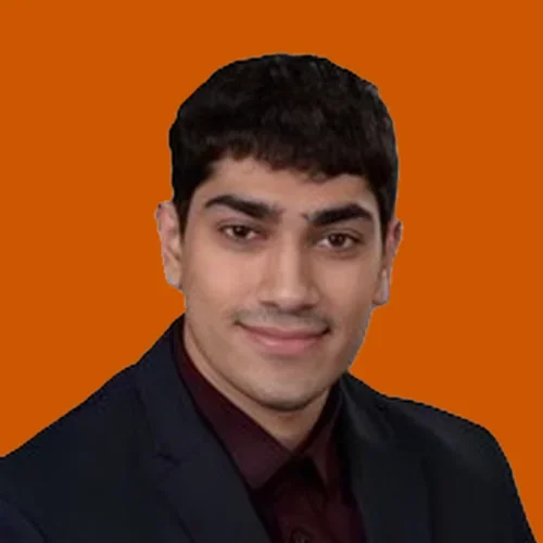 2024-2025 AI Fellow